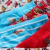 1,5-7 años | Paquete de 6 calzoncillos de La Patrulla Canina