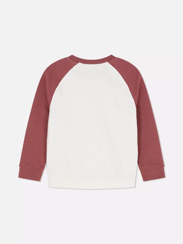 1,5-8 años | sudadera con bloques de color
