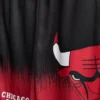 7-15 años | Conjunto de malla de los Chicago Bulls de la NBA