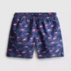 7-15 años | Pantalones cortos con estampado de flamencos