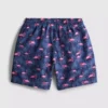 7-15 años | Pantalones cortos con estampado de flamencos