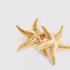 Aretes de estrella de mar