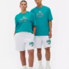 Camisas con el logotipo de los Miami Dolphins de la NFL