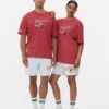Camiseña de los Miami Heat de la NBA