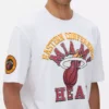 Camiseña de los Miami Heat de la NBA