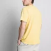 Camisea de pantalón corto de corte regular