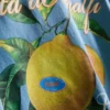 Camiseta con estampado de limones de Amalfi