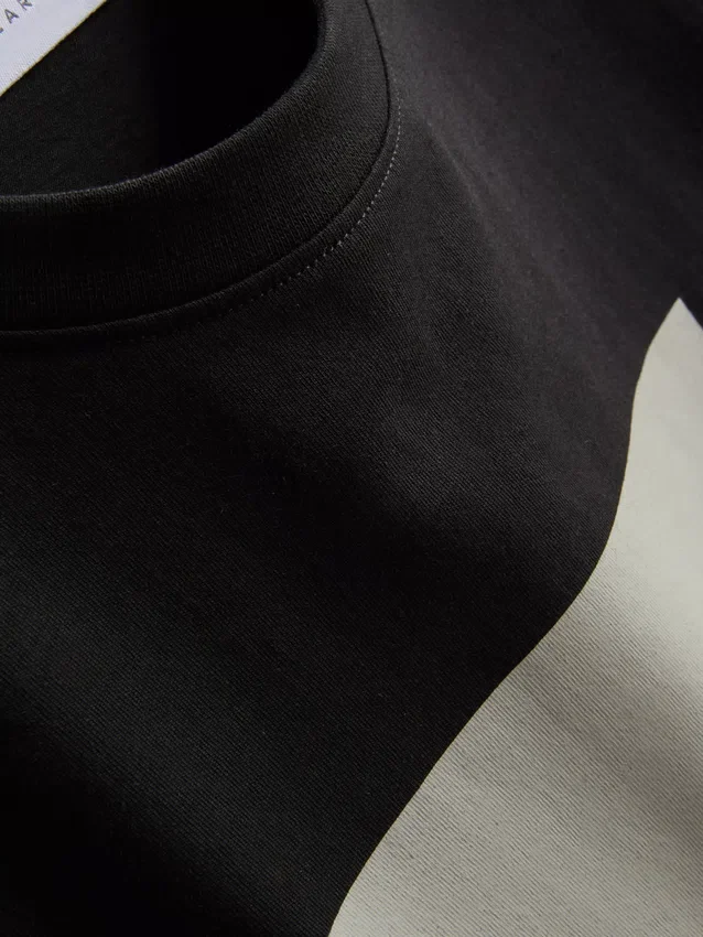 Camiseta con gráfico de surfista