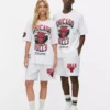 Camiseta de los Chicago Bulls de la NBA