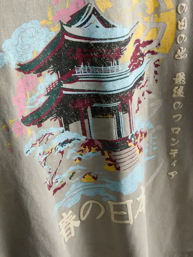 Camiseta gráfica lavada de Japón