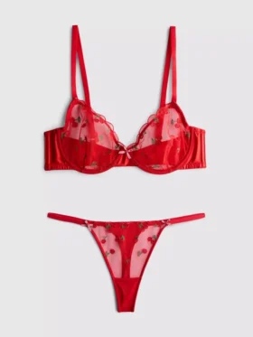 Conjunto de ropa interior de malla con bordado de cerezas