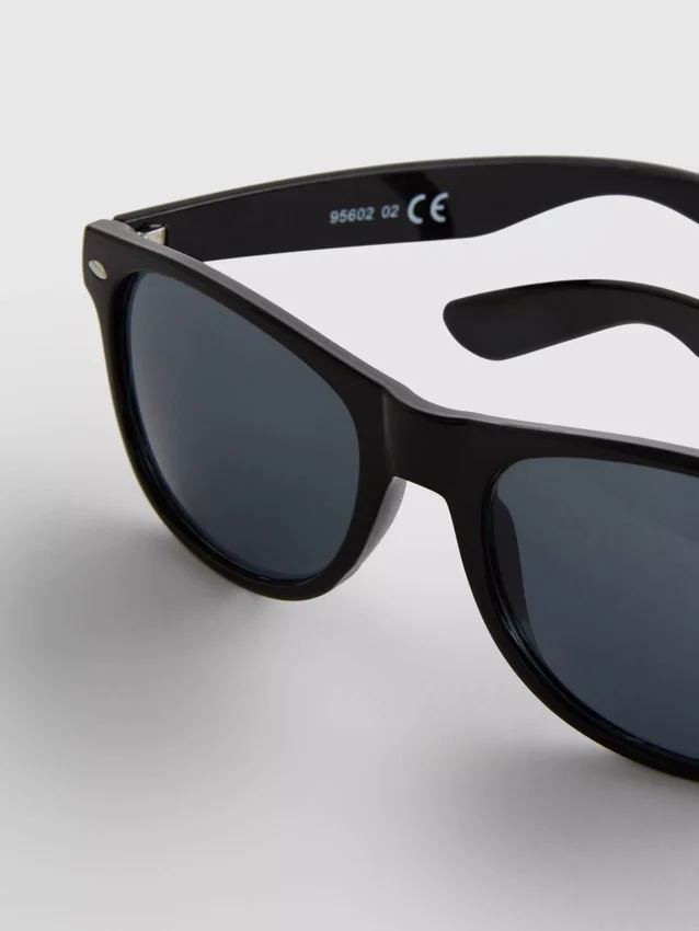 Gafas de sol clásicas tipo Wayfarer