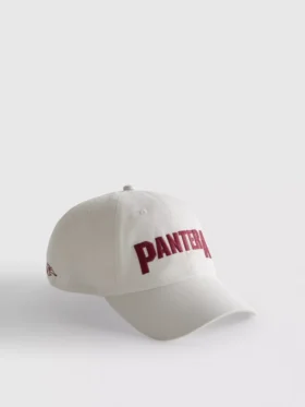 Gorra de béisbol de Pantera