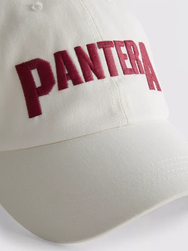 Gorra de béisbol de Pantera