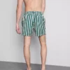 Pantalones cortos a rayas «Deck Chair»