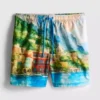 Pantalones cortos con estampado panorámico