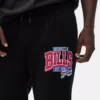 Pantalones de chándal de los Buffalo Bills de la NFL