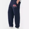 Pantalones de chándal de los Houston Texans de la NFL
