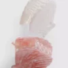 Paquete de 2 pinzas para el cabello con forma de concha