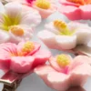 Paquete de 6 pinzas para el cabello con motivos florales