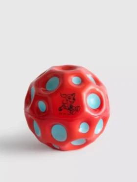 Pelota de Paw Patrol