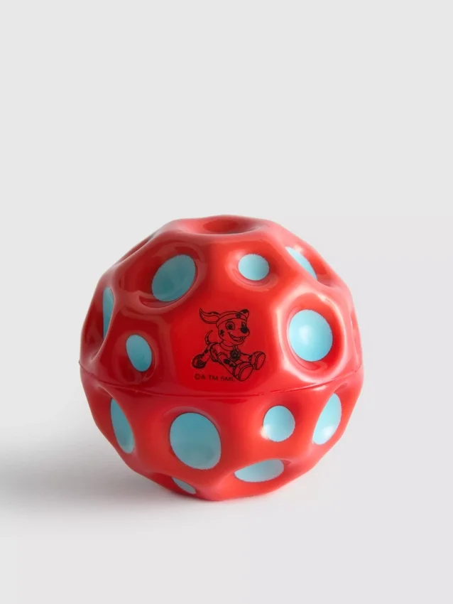 Pelota de Paw Patrol