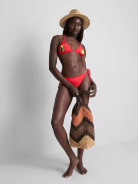 Top de bikini triangular con diseño de tucán